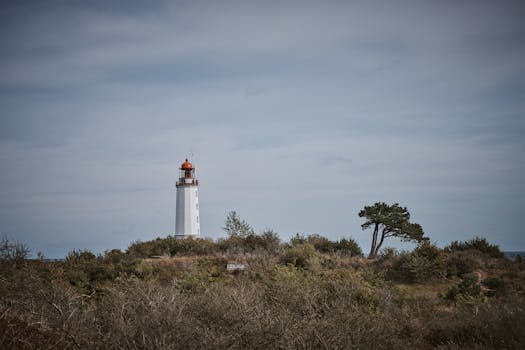 Pečeme Německé Pretzely: Kompletní Průvodce Pro Začátečníky